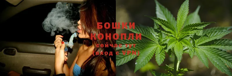 где купить наркоту  Карачев  Конопля OG Kush 